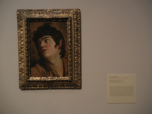 DSCN1180 _ Head of a Young Man, 1601-02, Peter Paul Rubens, Blanton Museum, Austin