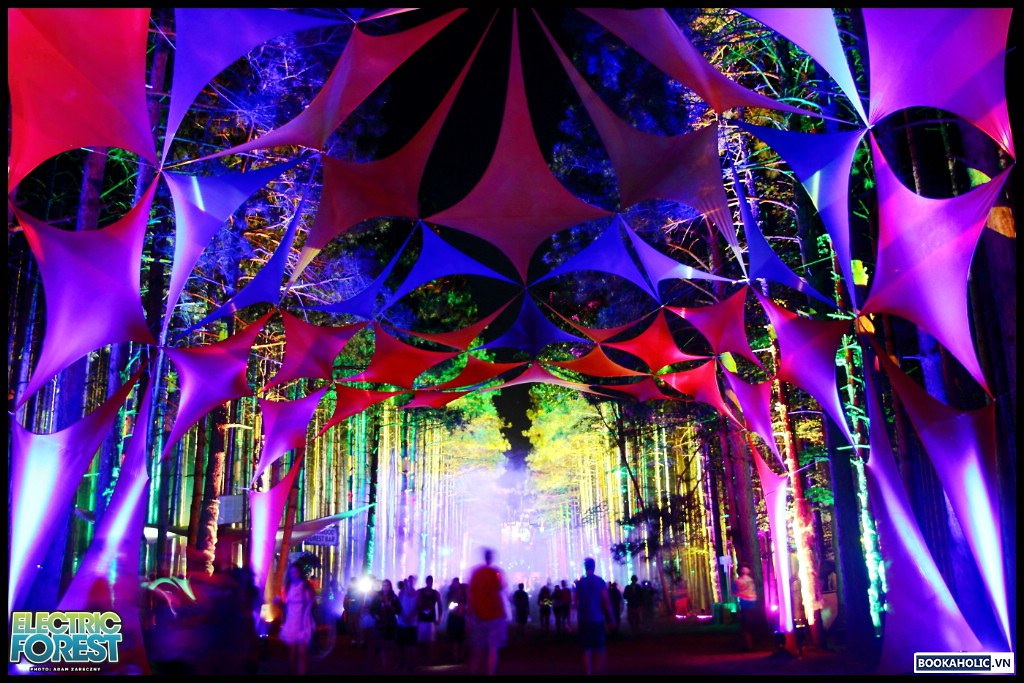 Electric Forest Music Festival - Rothbury, Michigan 2