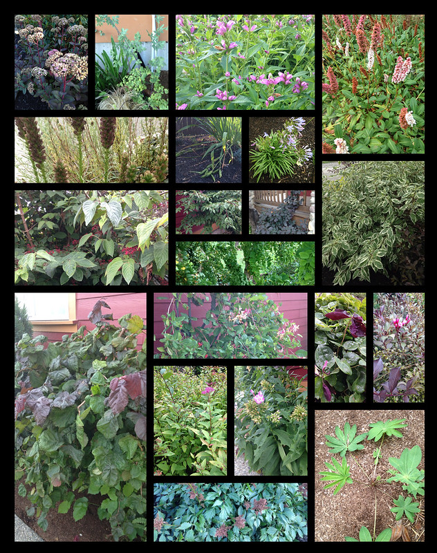 Landscaping Collage
