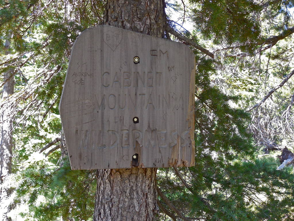 Trail 63: Cabinet Mountains Wilderness
