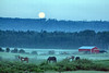 setting moon, rural Alberta - IMG_4221
