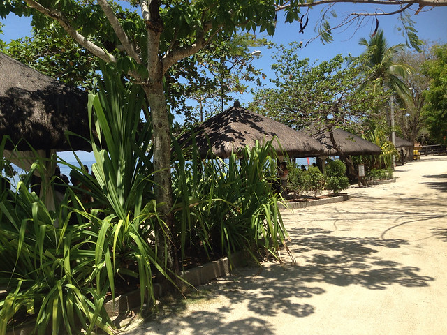 palm beach resort