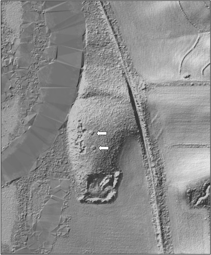 Light Detection and Ranging LiDAR image shows the archaeological mounds in this restored wetland in Illinois. NRCS photo.