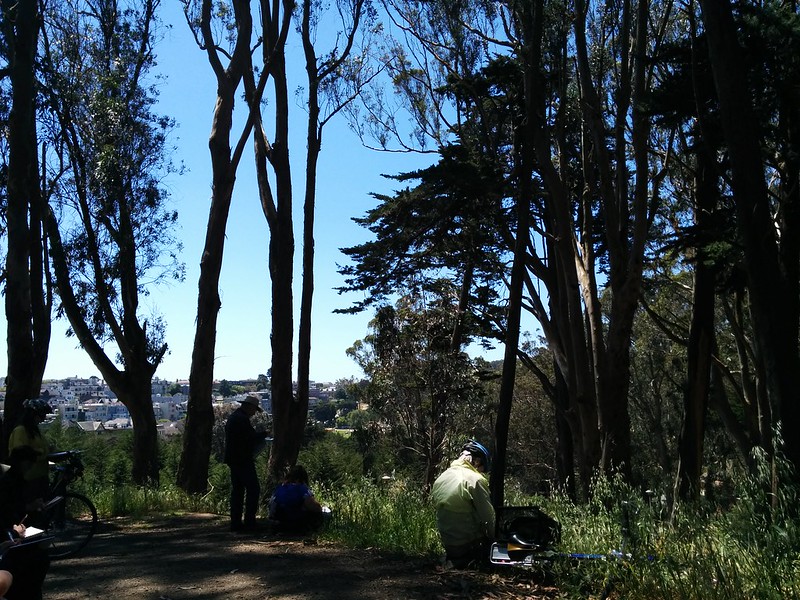 from last sunday in the northside: walk, draw, walk — in the presidio.