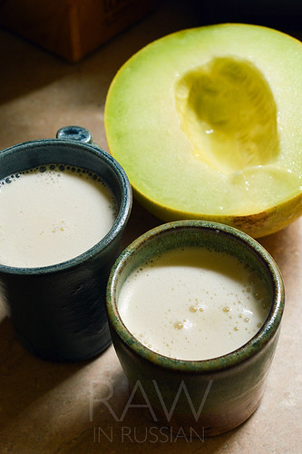 Melon seed milk