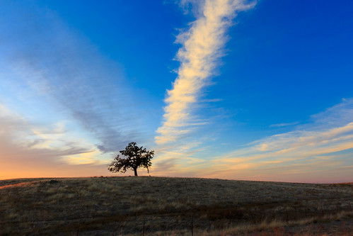california sunset sky tree clouds fence unitedstates folsom pwpartlycloudy