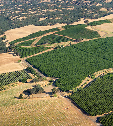 california travel usa nature landscape vine winters vinery canon60d