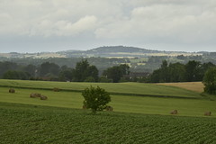 Contrastes entre la verdure et les nuages de pluie - Photo of Brie-sous-Chalais