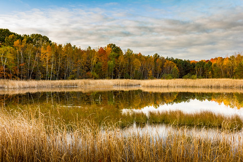 pond sunrise wetland reeds cattails canon t2i efs24mm midland michigan lago ontoño
