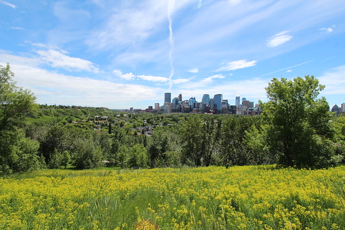 summer calgary day first 2014 pwpartlycloudy