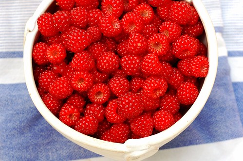 Wild wineberries by Eve Fox, The Garden of Eating, copyright 2014