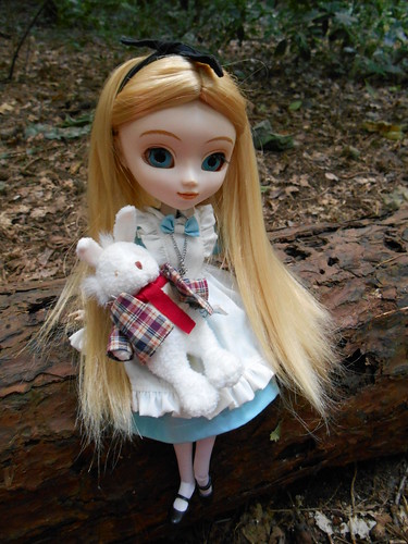 Alice in the woods