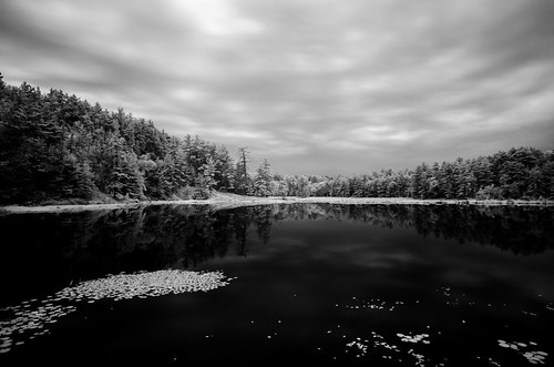 trees lake ontario canada reflection nature water clouds forest landscape outdoors hiking canadian hike wilderness lilypads killarneyprovincialpark laclochesilhouettetrail keepitbeautiful d7000