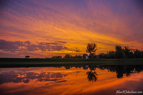 trees red summer white reflection tree art water colors grass dark landscape photography mirror evening illinois pond colorful purple unitedstates dusk wildlife fineart fine may double il canvas vision prints marlowe berm buffalogrove alanmarlowe alanrmarlowe