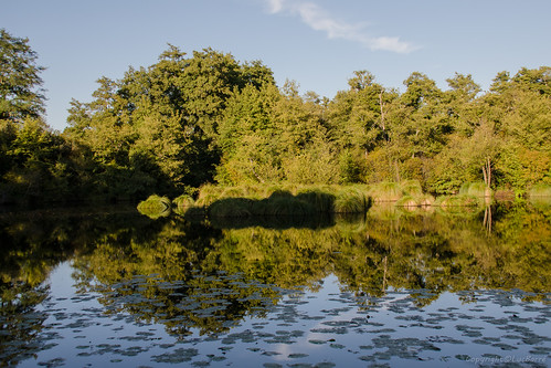 sainte foy landes étang étangs eau lac classé