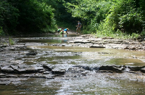 creek hamiltonil ruralcentralillinois