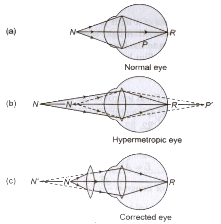CBSE Class 11 Physics Notes Ray Optics