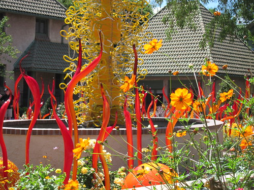 chihuly 1