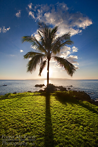 ocean sunset shadow sea sun tree beach water grass silhouette clouds island hawaii coast afternoon pacific maui palm shore palmtree tropical coconuttree brianknott forgetmeknottphotography fmkphoto