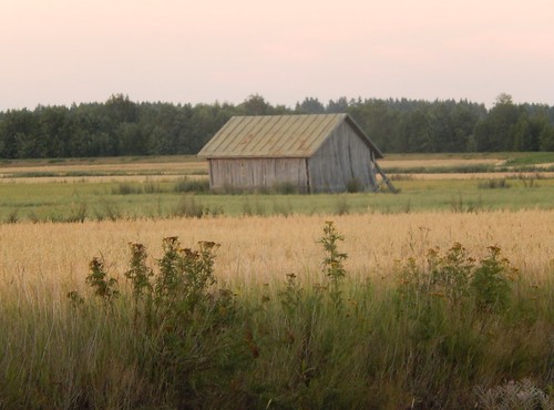 field barn lapua alajoki
