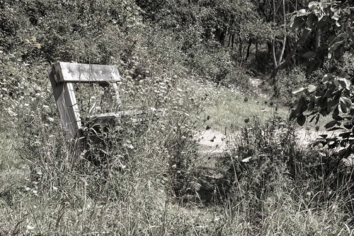 flowers nature landscape pretty unitedstates pennsylvania decay wildlife explorer roadtrip pa recycle trailride greenplanet canoncamera alleghenycounty ventureoutdoors abanoned pittsburghneighborhoods canon60d natronaheights garysprague explorepa rurelliving newkensingtoncameraclub