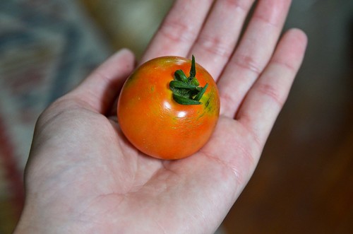 First ripe tomato!