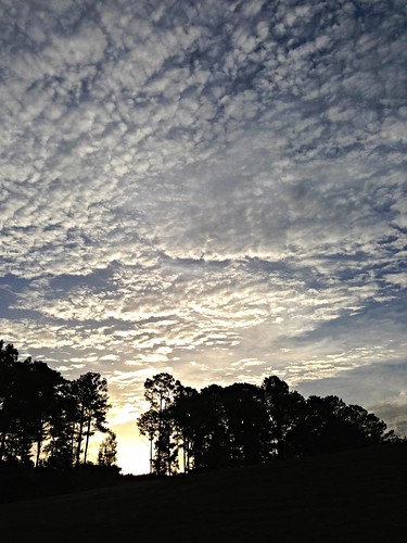 clouds iphone silhouette simslakepark sky sunrise suwaneegeorgia