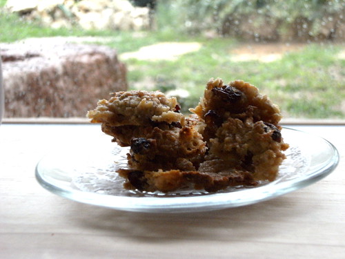 Cereal cookies with apple & raisins - Biscotti di cereali con mele & uvetta