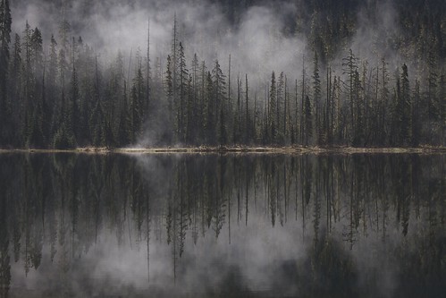trees cloud mist lake canada reflection tree water joffrelake lowerjoffrelake