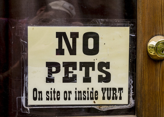 No Pets