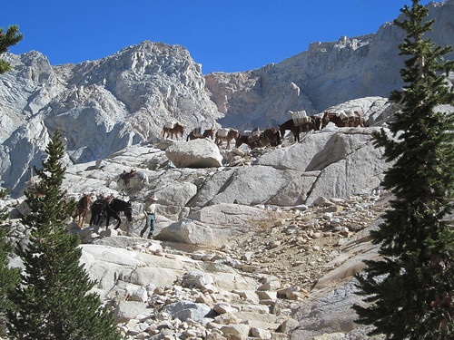 Mule packer Lee Roeser leads a pack up Mt. Whitney on the Inyo National Forest. (Courtesy Jen Roeser)