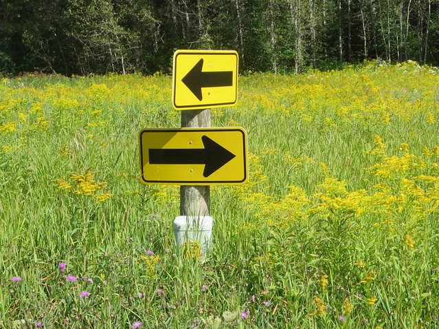 Which way do we go?