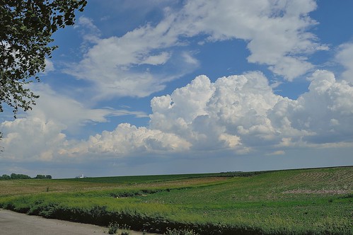 field clouds