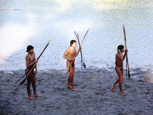 被迫求援！ 非法伐木 油藏探勘 亞馬遜原始部落遭荼毒