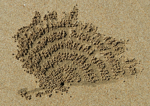 crab spit sand art at Ngapali Beach in Myanmar