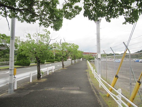 佐賀競馬場の駐車場