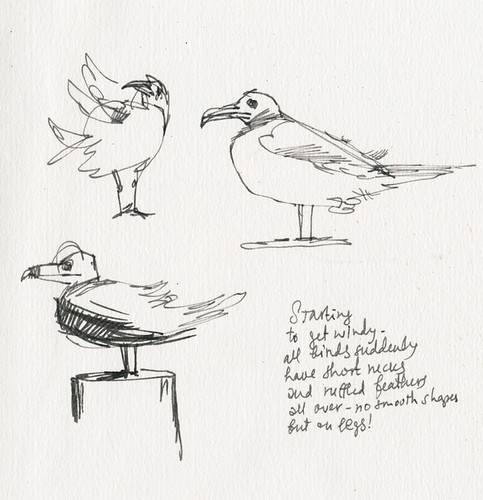 June 2014: Baylands Birds