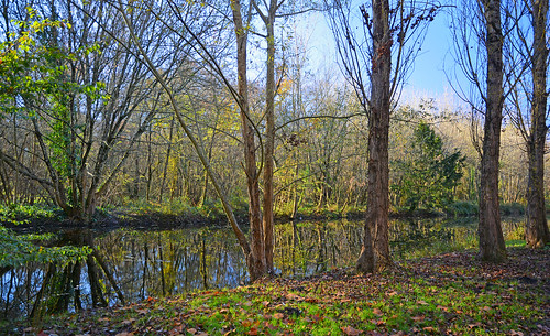 park france tree nature water forest landscape nikon eau reserve natura paysage acqua parc aquitaine gironde begles mussonville bordeauxmetropole