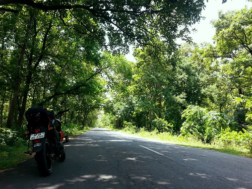 Riding through the Kawal Tiger Reserve