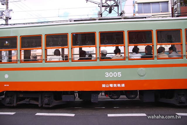 岡山電軌3005、東武日光軌道復元号