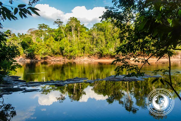 River Brazilian Amazon