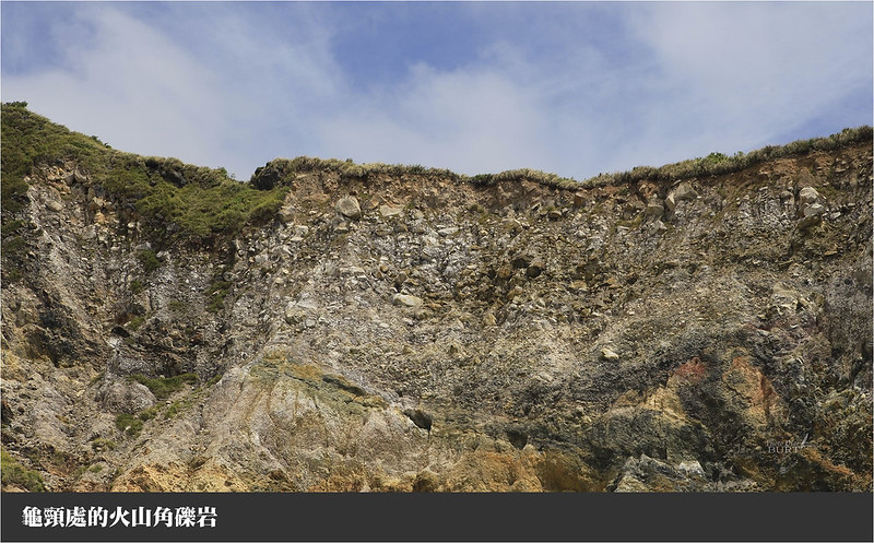 龜頸處的火山角礫岩