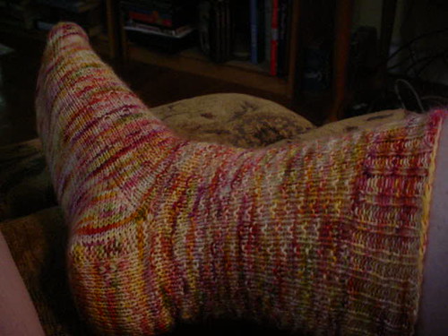 close up of everyday sock