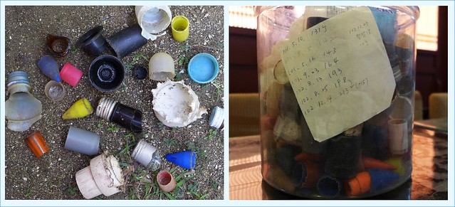左：寄居蟹捨棄的舊家。右：213個塑膠殼玻璃殼，個個都是心痛的記憶。