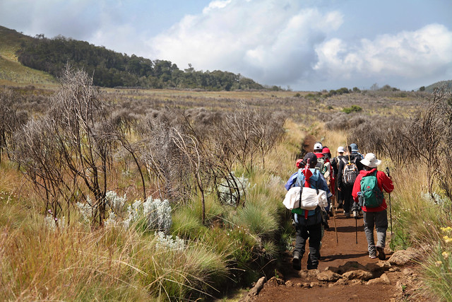 Making our way down the mountain on the last day (Mt. Kilimanjaro, Tanzania)