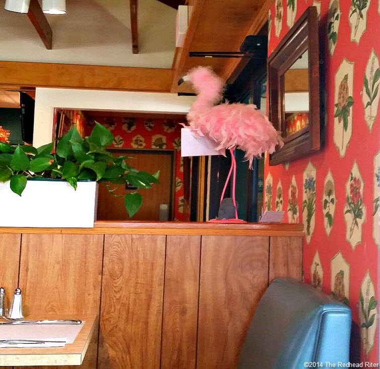 pink flamingo restaurant Eating With A Flamingo In WilliamsburgVirginia