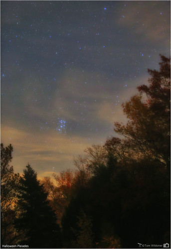 tomwildoner pleiades pleiadesstarcluster m45 astronomy astrophotography astronomer opencluster trees maple leaves autumn fall canon canon6d tripod clouds nightsky night science space stars glow orange tiffen pines timelapse