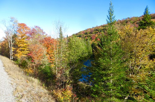 adirondacks adirondackscenicrr fall autumn foliage water moose mooseriver river