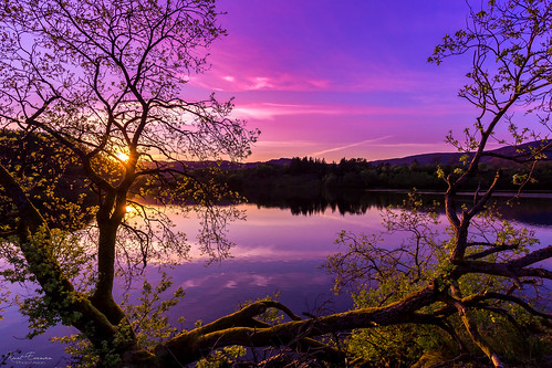 norway landscape calm vivid nature water sunset lake quiet silence rogaland no