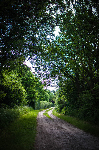 road trees sky forest germany landscape denmark deutschland path danmark padborg flensburg harrislee